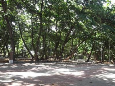 2013-ebe-fortaleza-dezembro-32